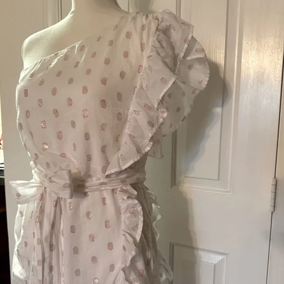 “LOVERS + FRIENDS” X Revolve Whitney Rose Dress - Picture 11 of 16